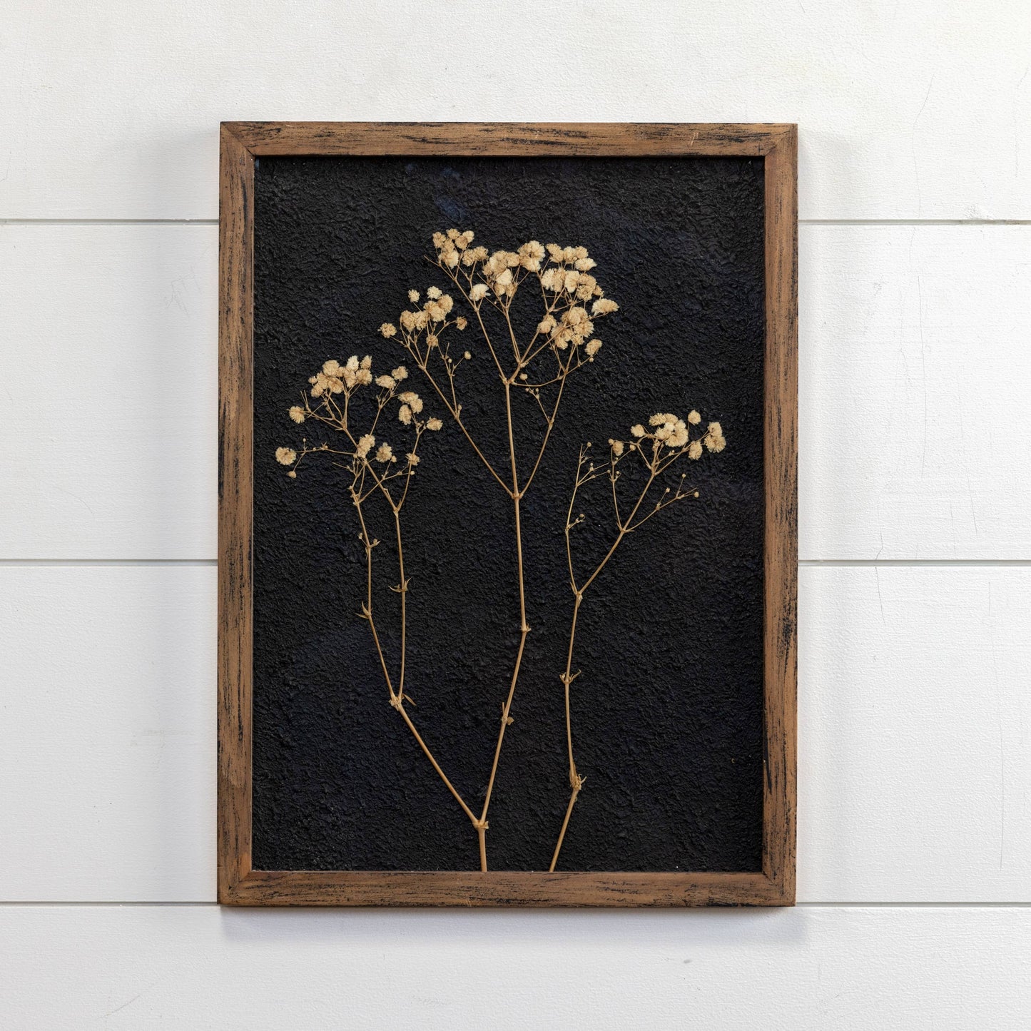 DRIED BABY'S BREATH IN FRAME