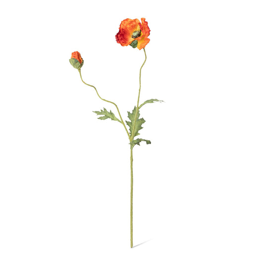 Poppy Stem Burnt Orange