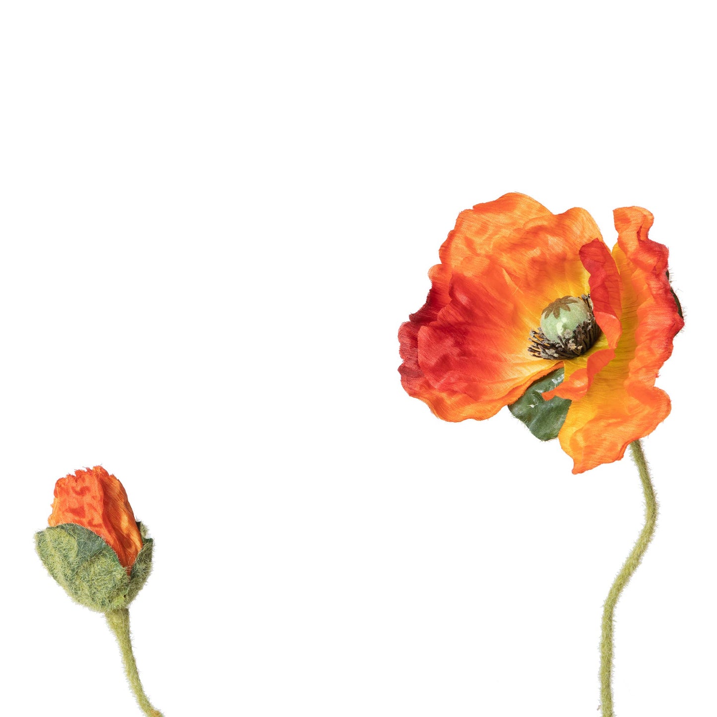 Poppy Stem Burnt Orange