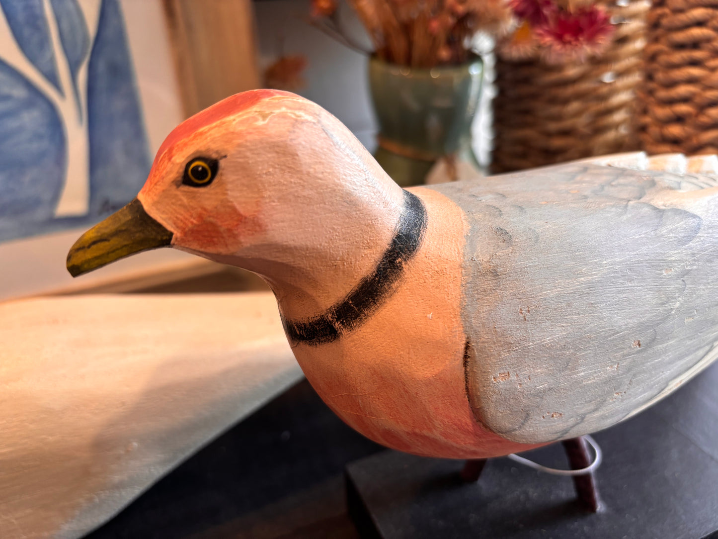 Franklin's Rosy Gull on Wood Block