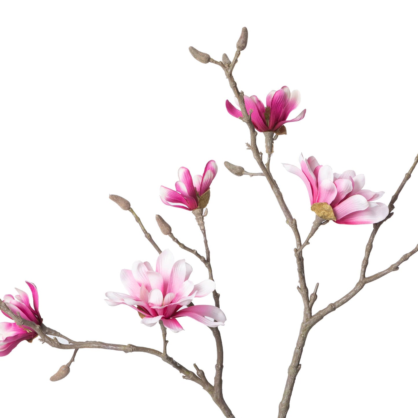Park Hill Collection Japanese Magnolia Branch