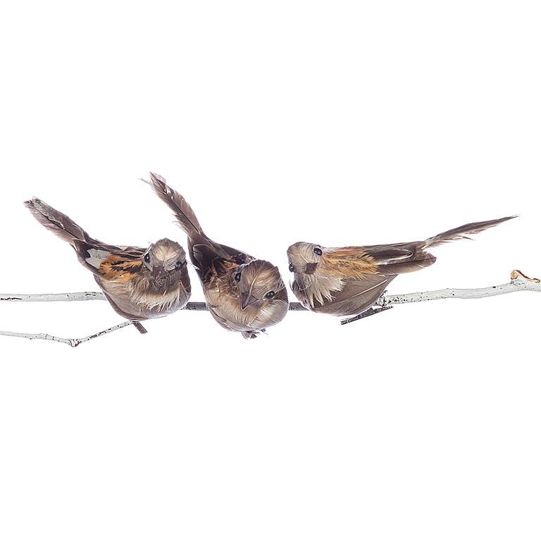 Bird W/Pointed Tail Clip-4.5"