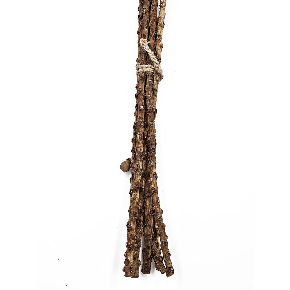 23.5" 7PC/Bunch Wild Orange Twig Stem (In Store Pick-Up)