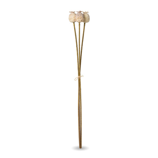 Promo Poppy Pod Bundle