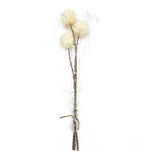 23.5" 3Pcs/Bunch Palm Artichoke D3" On Twig Stem (In Store Pick-Up Only)