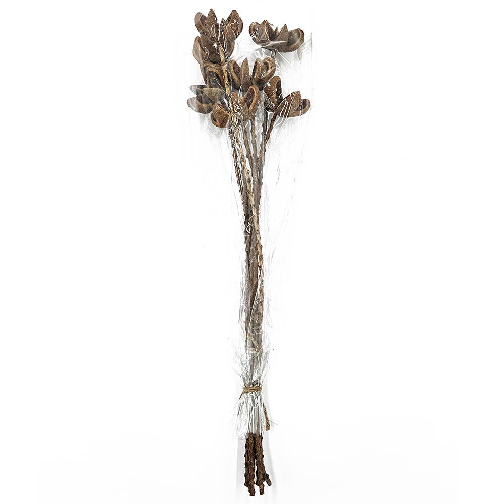 23.5" 7PC/Bunch Wild Orange Twig Stem (In Store Pick-Up)