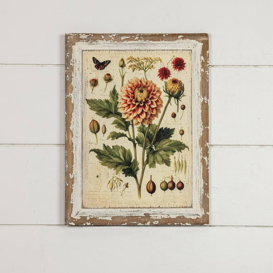 16" PEACH DAHLIA BOTANICAL PRINT