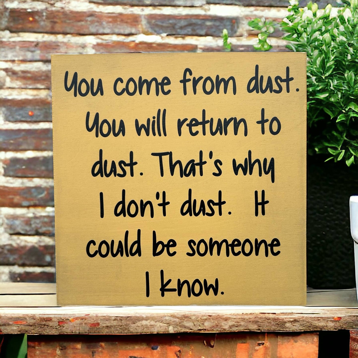 You Come From Dust - Funny Rustic Wood Sign Everyday Decor