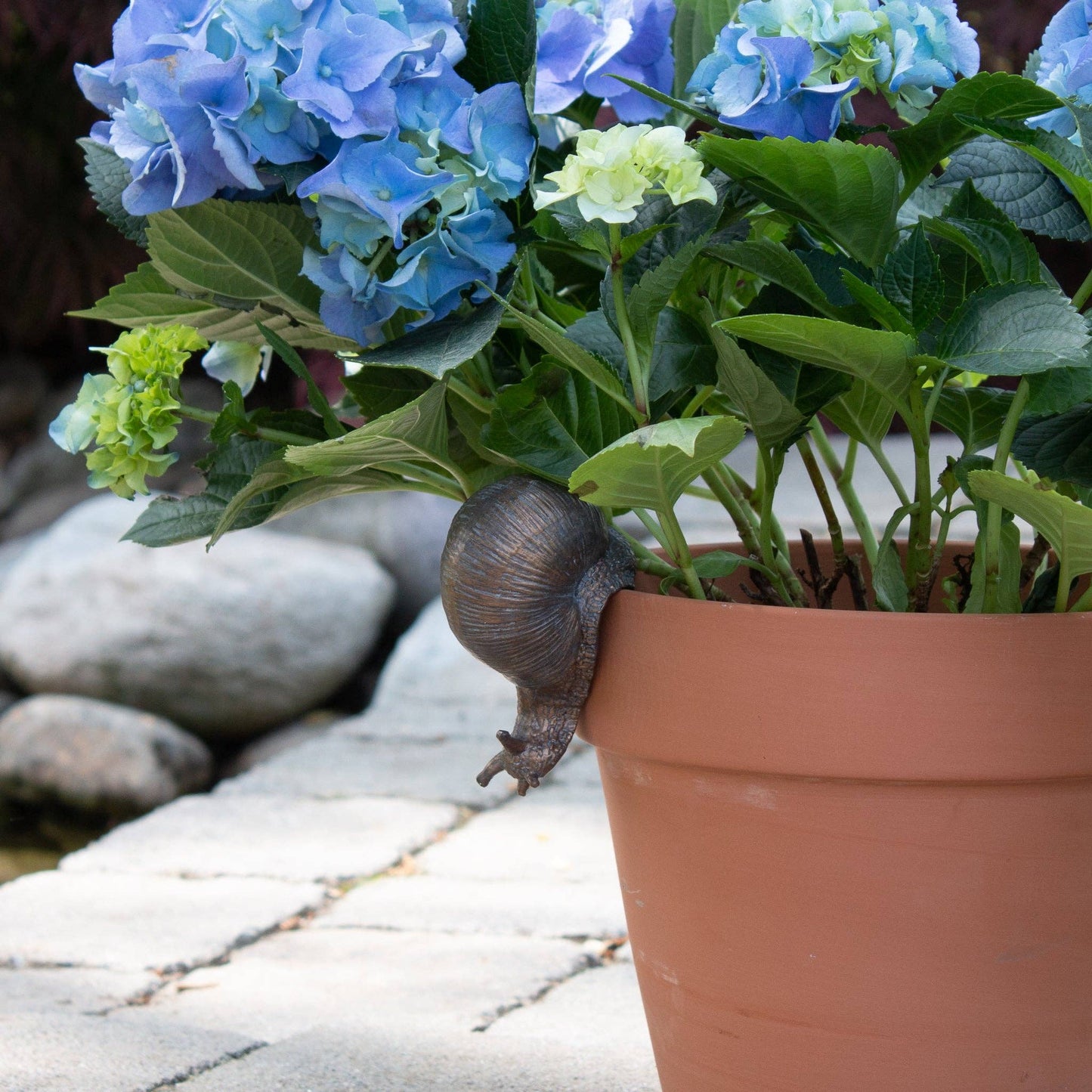 Snail Pot Hugger (Pk/03)