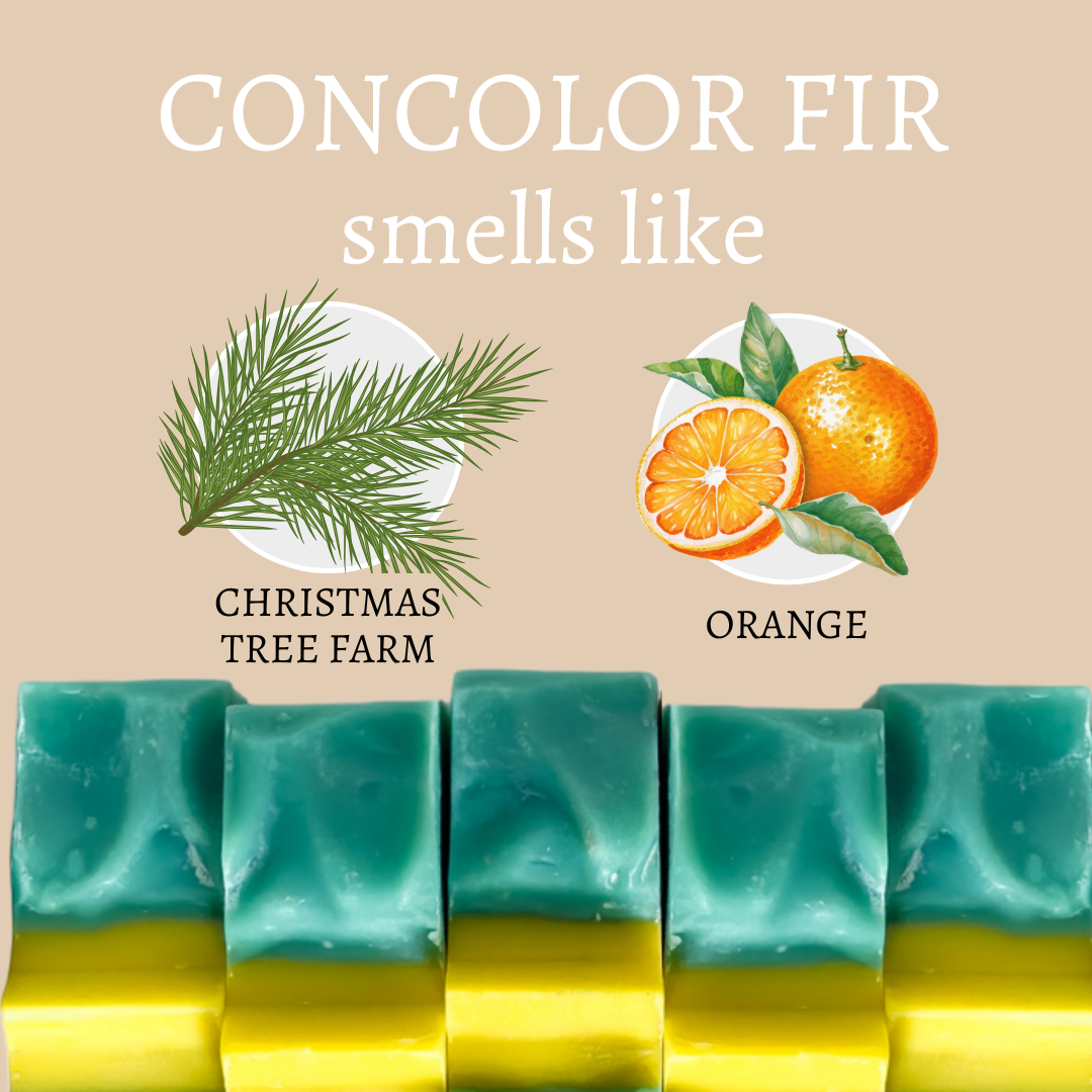 Concolor Fir Christmas Tree Handmade Bar Soap- 4oz
