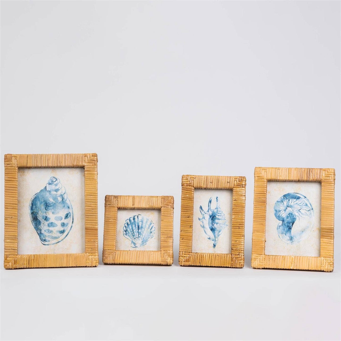 Framed Art - Seashells In Rattan Frame (Set Of 04)