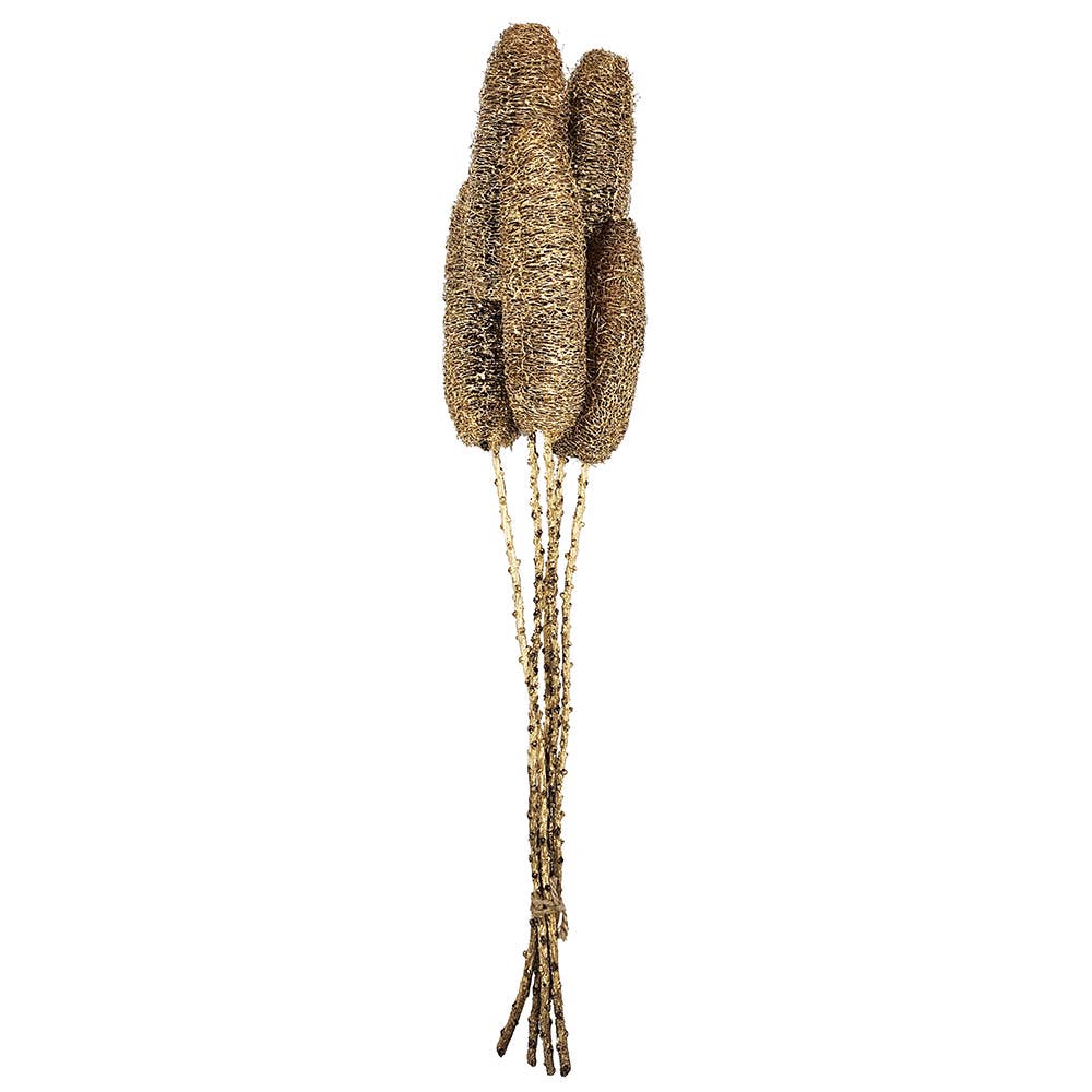 23.5" 5PC/Bunch Golden Harvest Twig Stem (In Store Pick-Up only)