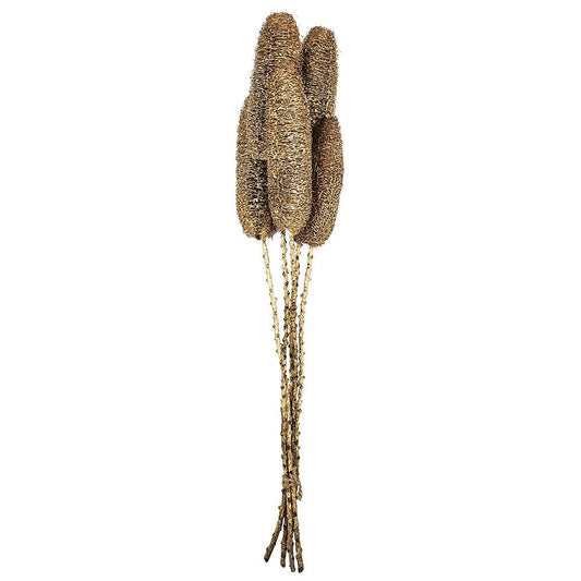 23.5" 5PC/Bunch Golden Harvest Twig Stem (In Store Pick-Up only)