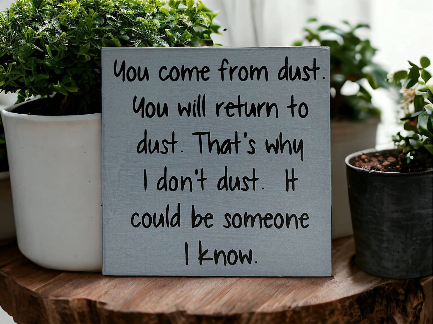 You Come From Dust - Funny Rustic Wood Sign Everyday Decor
