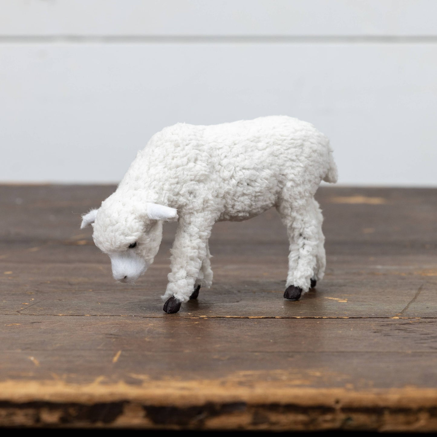GRAZING SHEEP