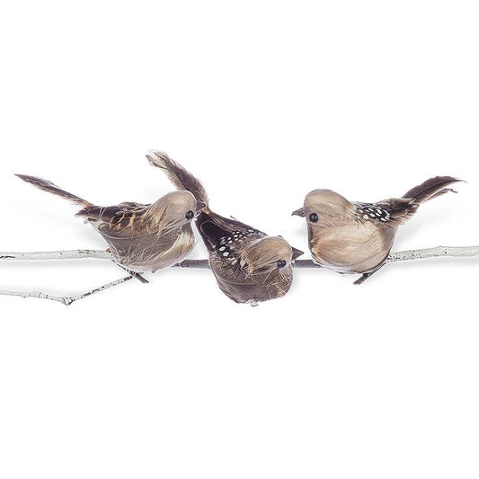 Bird W/Pointed Tail Clip-4.5"