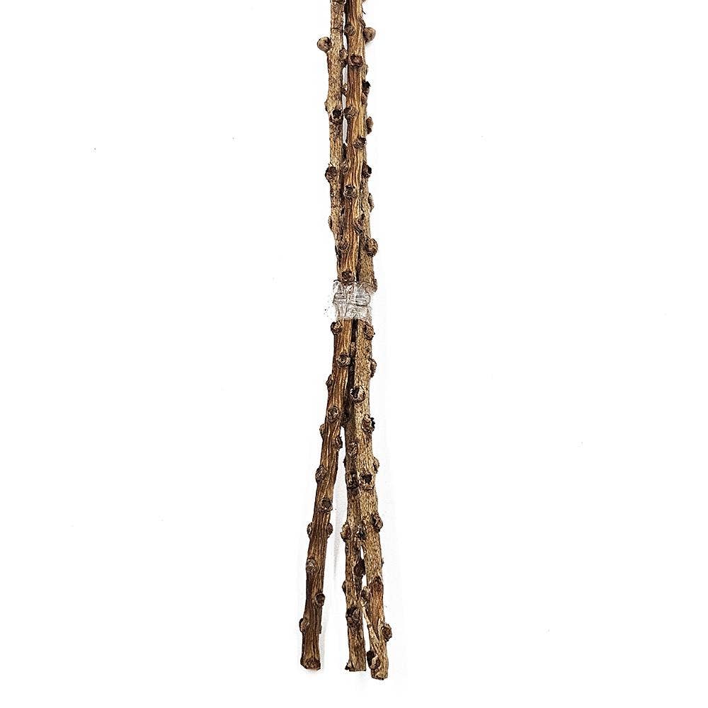 23.5" 3Pcs/Bunch Palm Artichoke D3" On Twig Stem (In Store Pick-Up Only)