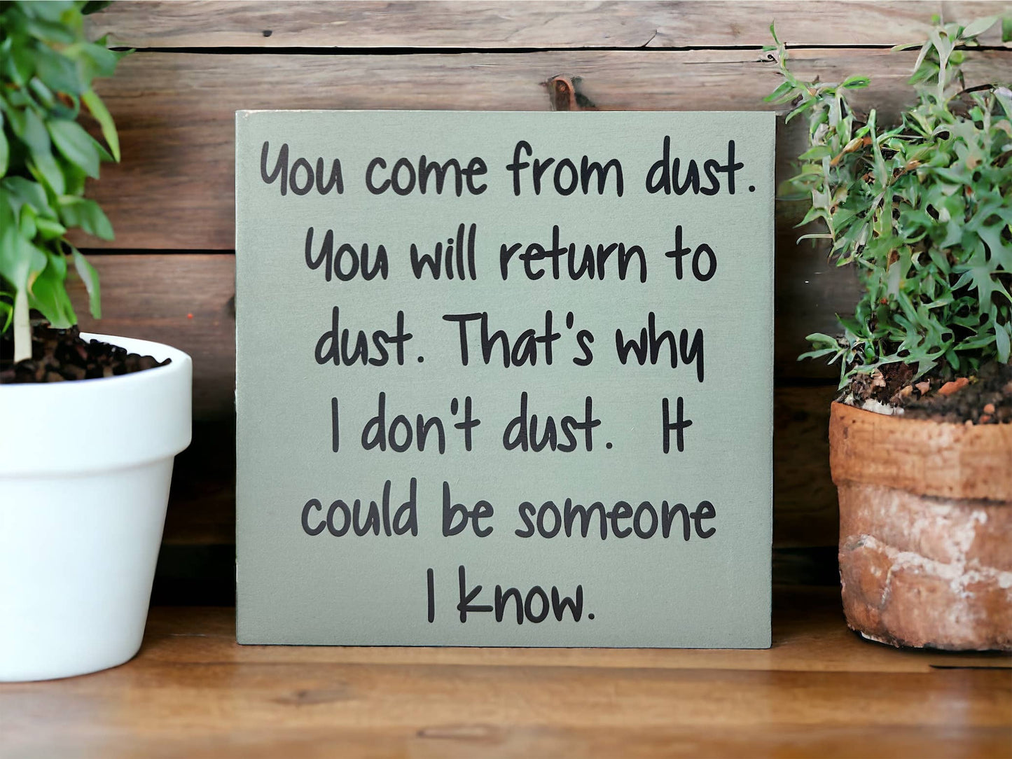 You Come From Dust - Funny Rustic Wood Sign Everyday Decor