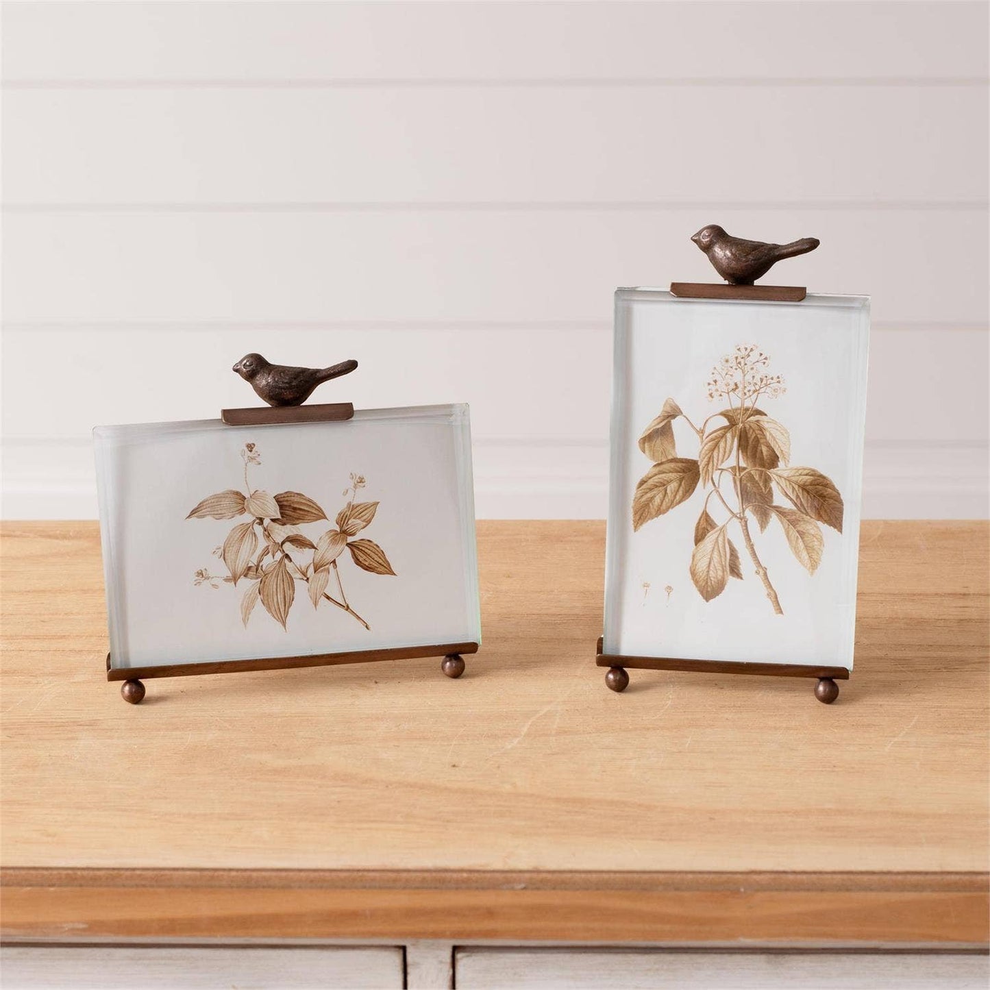 Botanical Glass Bird Photo Frame-Vertical And Horizontal 4X