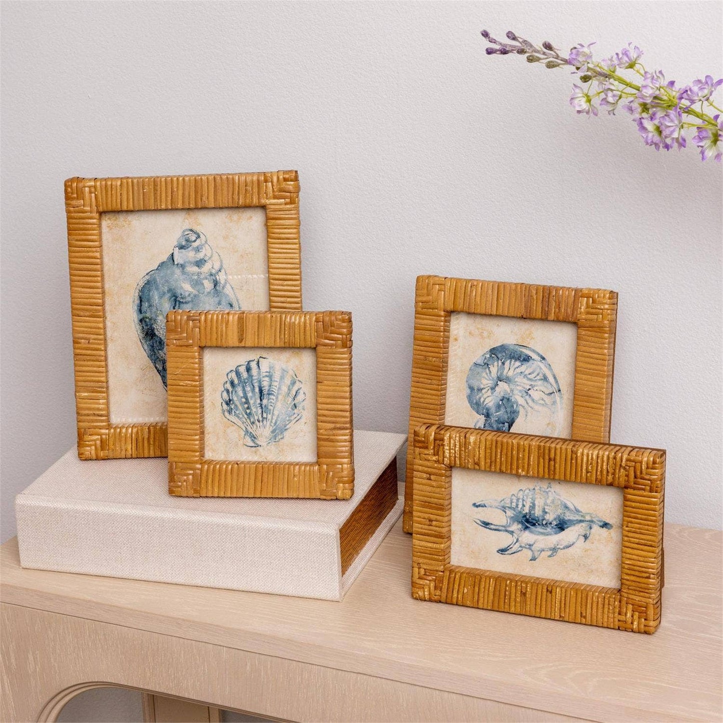 Framed Art - Seashells In Rattan Frame (Set Of 04)