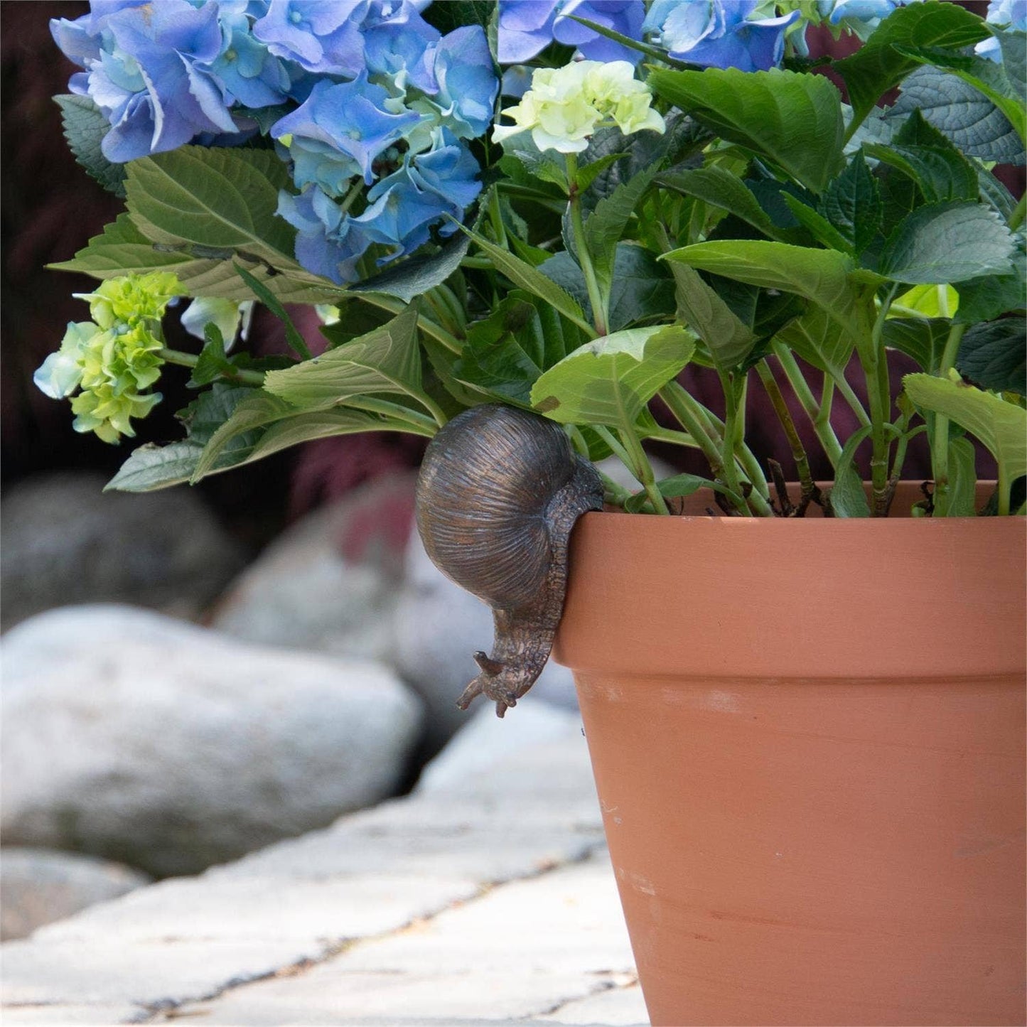 Snail Pot Hugger (Pk/03)