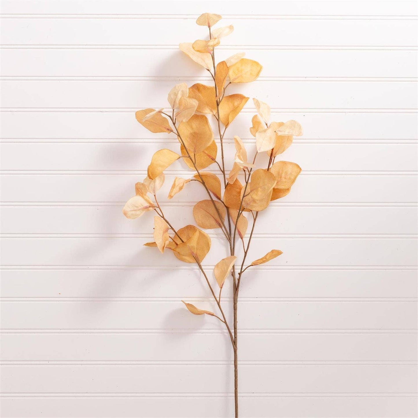 Spray - Eucalyptus Leaves, Cream (PK/24)