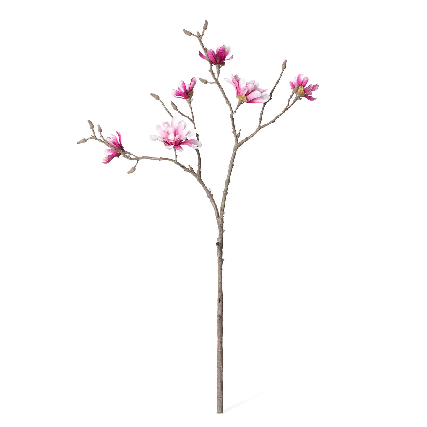 Park Hill Collection Japanese Magnolia Branch