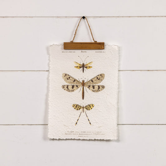THREE DRAGONFLIES PAPER SCROLL