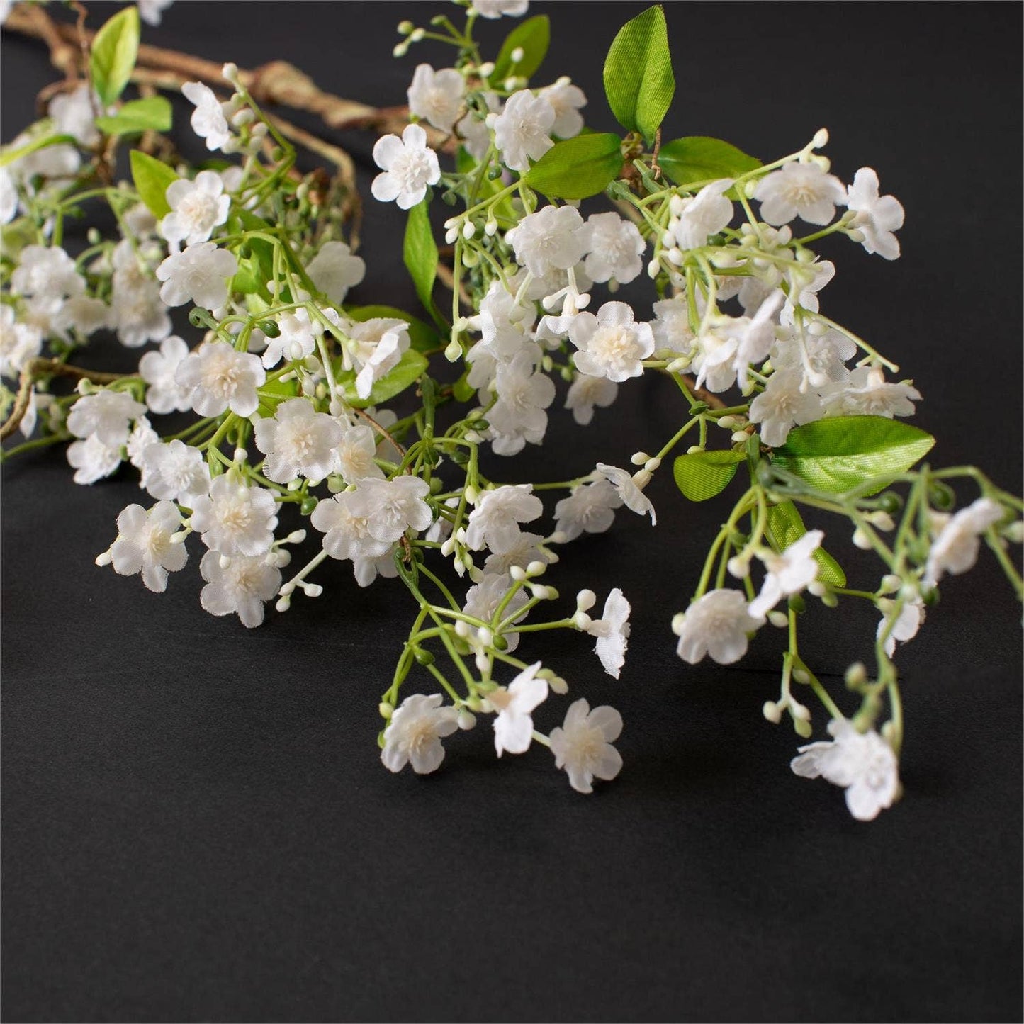 Stem - White Gypsophila (Pk/06)