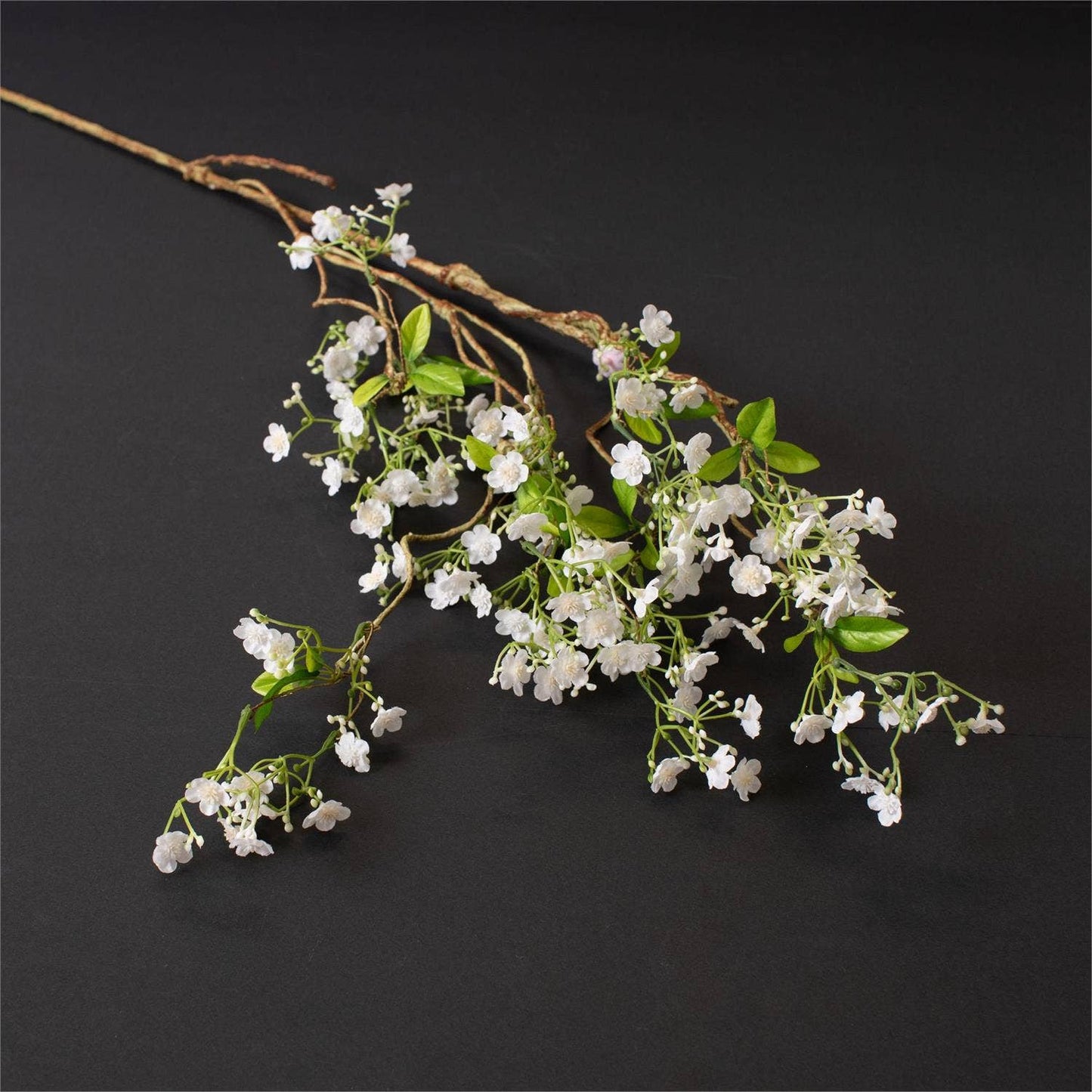 Stem - White Gypsophila (Pk/06)