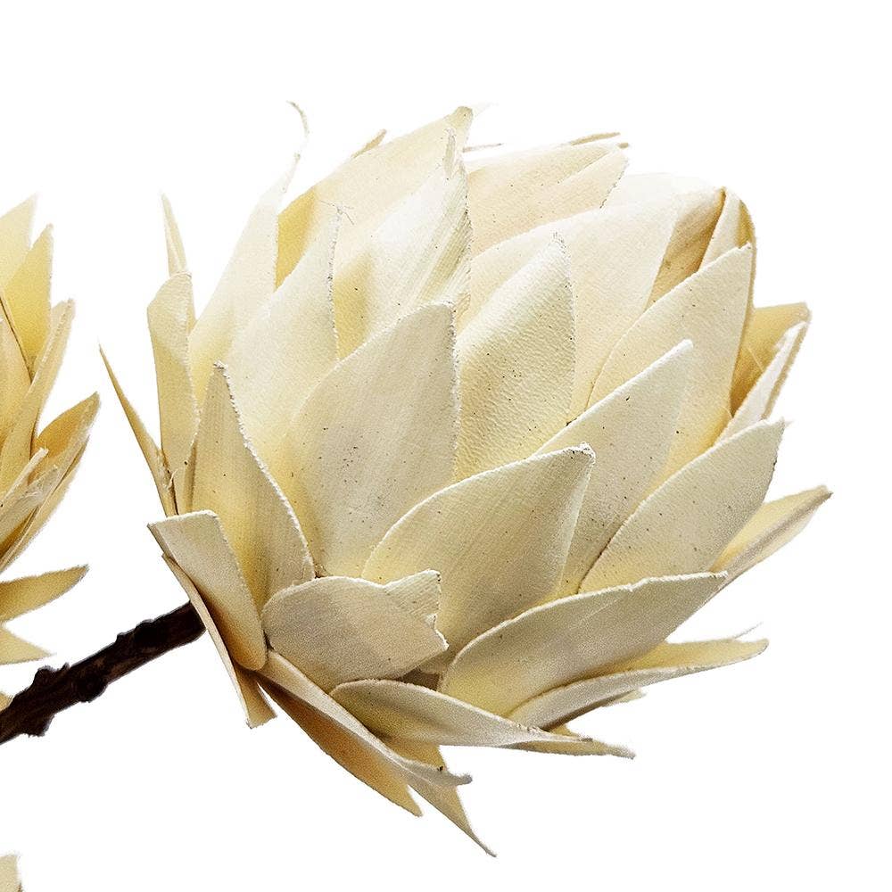 23.5" 3Pcs/Bunch Palm Artichoke D3" On Twig Stem (In Store Pick-Up Only)
