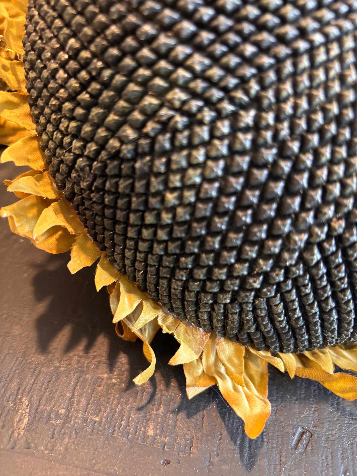 Sunflower Head