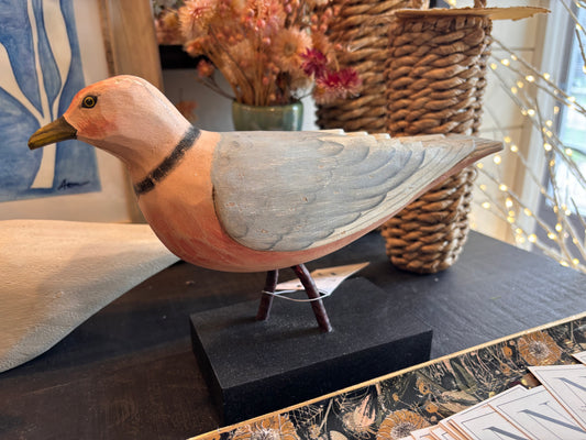 Franklin's Rosy Gull on Wood Block