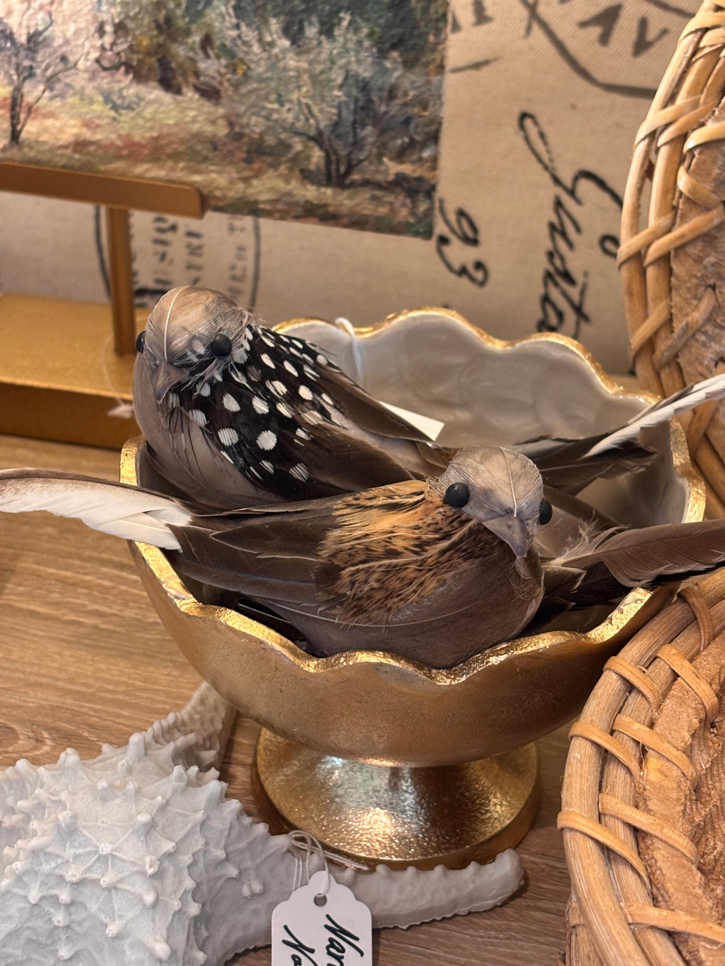 Bird W/Pointed Tail Clip-4.5"