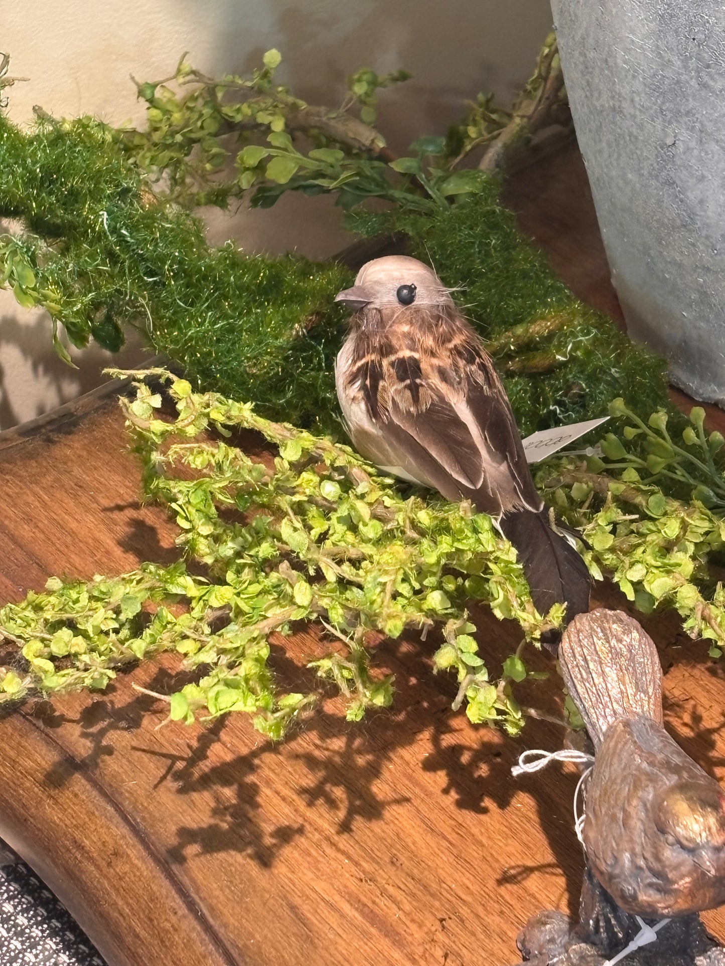 Bird W/Pointed Tail Clip-4.5"
