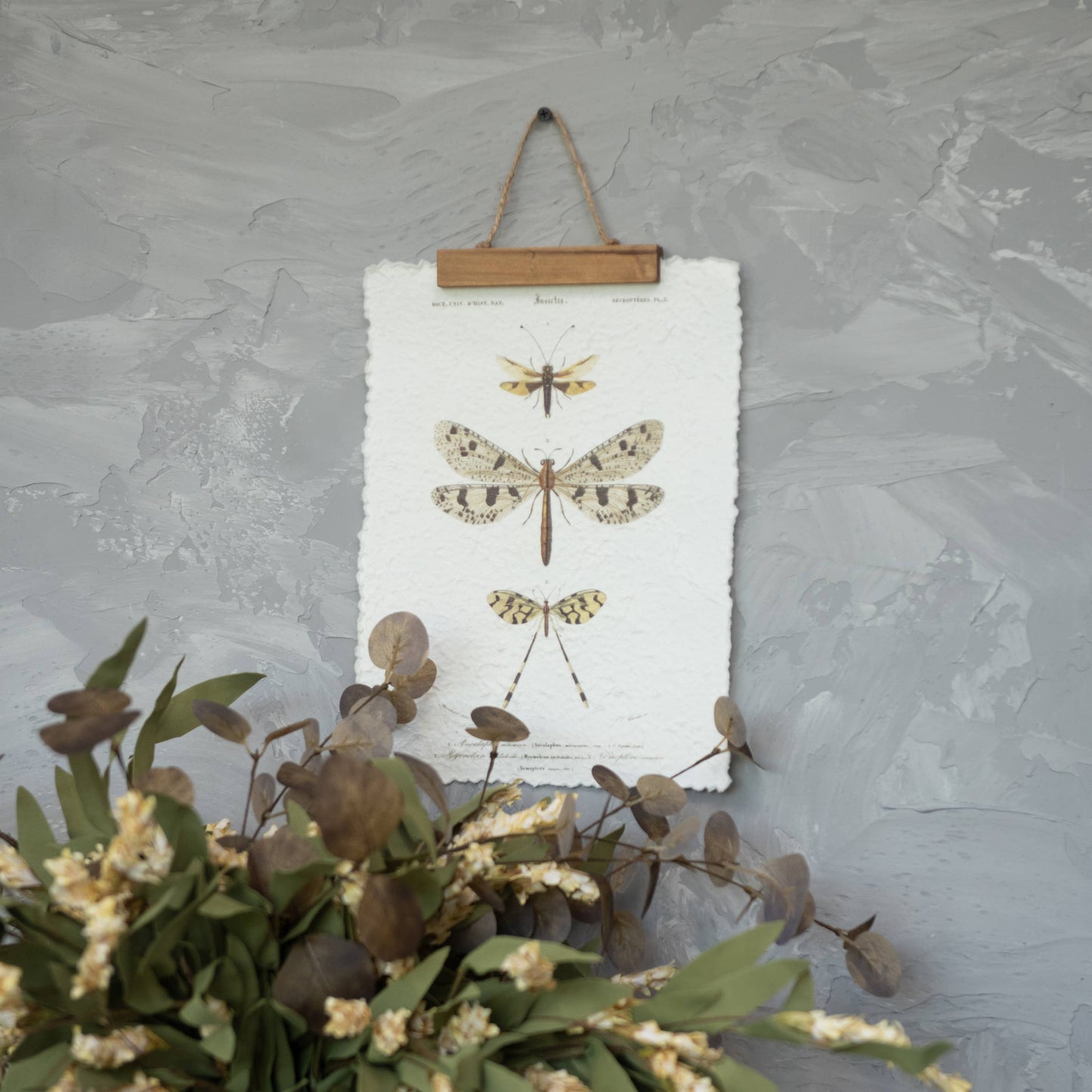 THREE DRAGONFLIES PAPER SCROLL