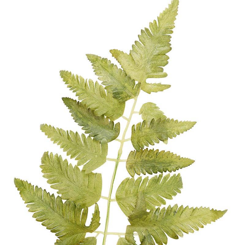 36" Fern Spray