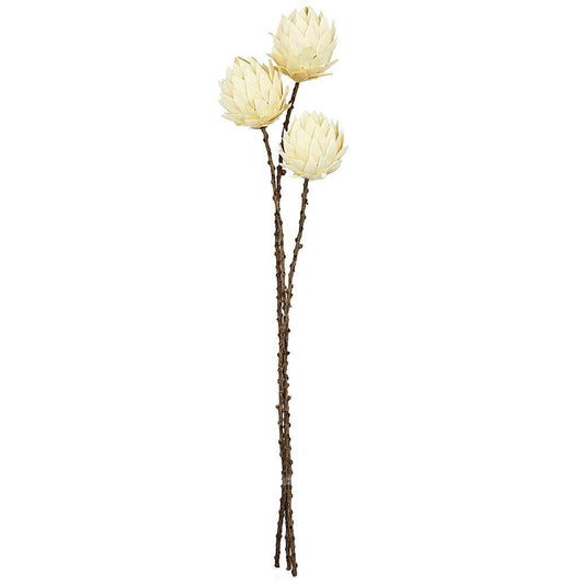 23.5" 3Pcs/Bunch Palm Artichoke D3" On Twig Stem (In Store Pick-Up Only)