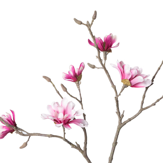 Park Hill Collection Japanese Magnolia Branch