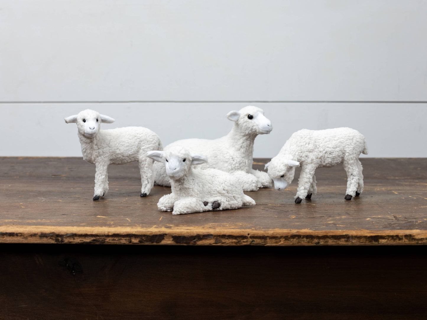 GRAZING SHEEP