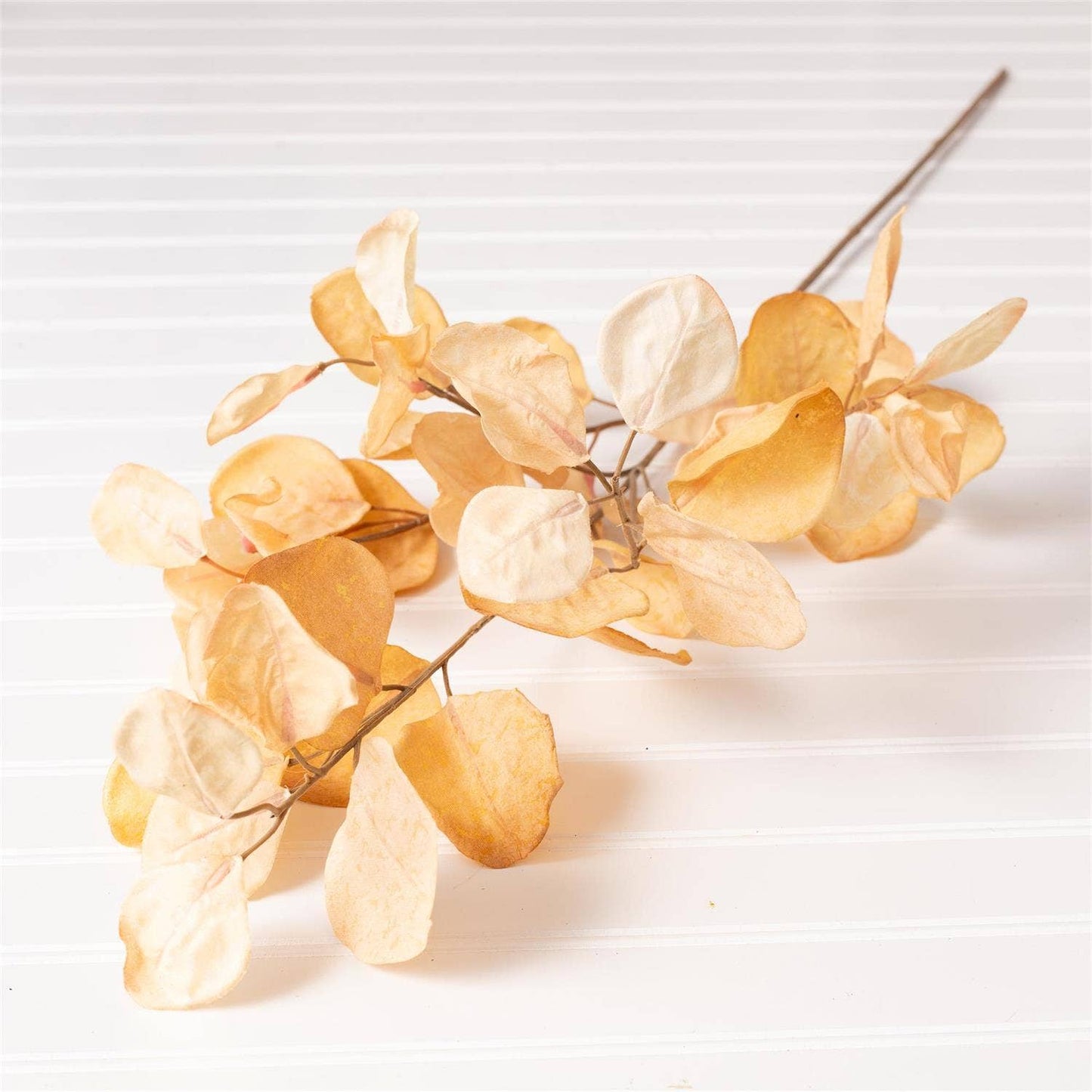 Spray - Eucalyptus Leaves, Cream (PK/24)