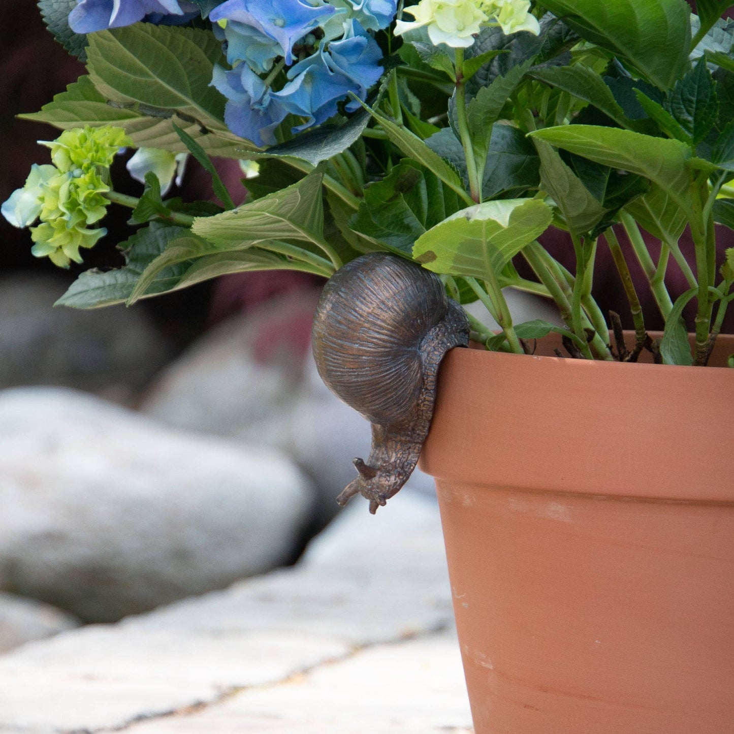 Snail Pot Hugger (Pk/03)