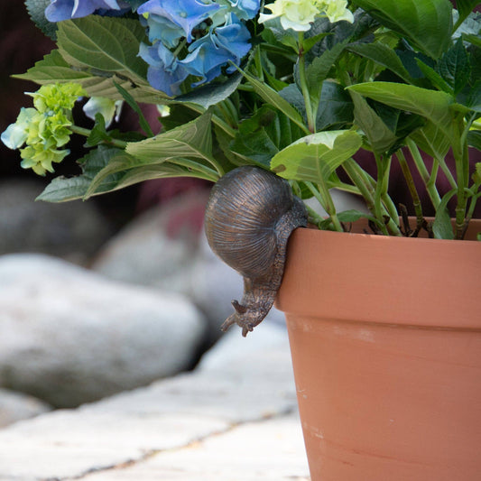 Snail Pot Hugger (Pk/03)