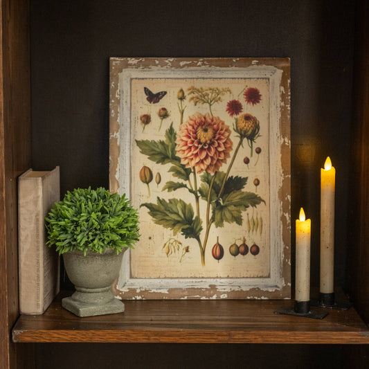 16" PEACH DAHLIA BOTANICAL PRINT