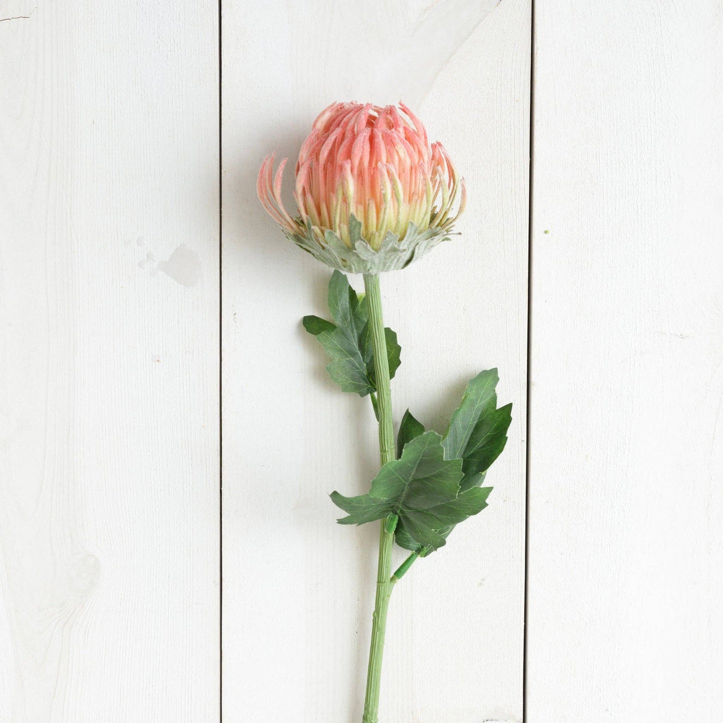 Pick - Protea Pink Small (Pk/03)