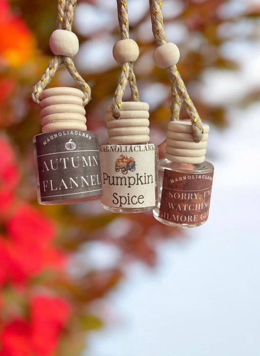 Seasonal, Nostalgic Car Diffuser