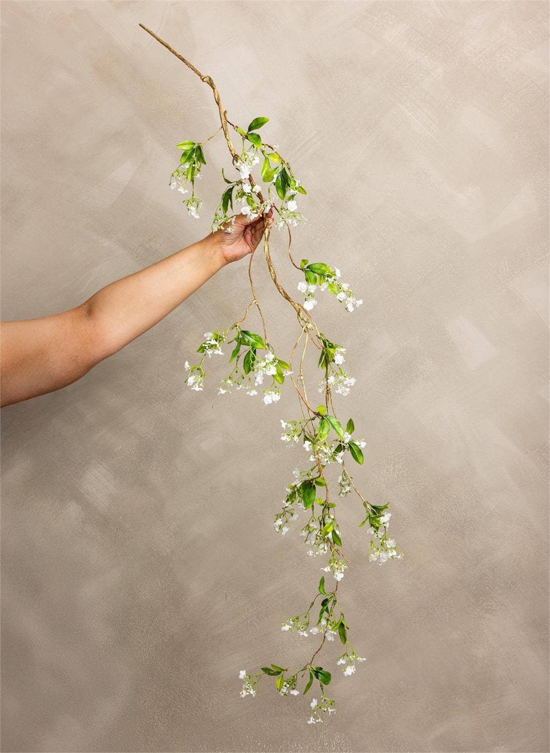 Spray - White Gypsophila Hanger (Pk/06)