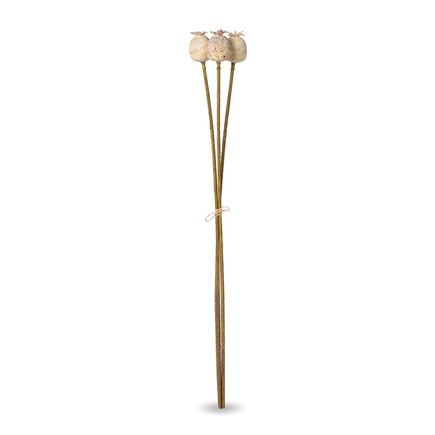 Promo Poppy Pod Bundle