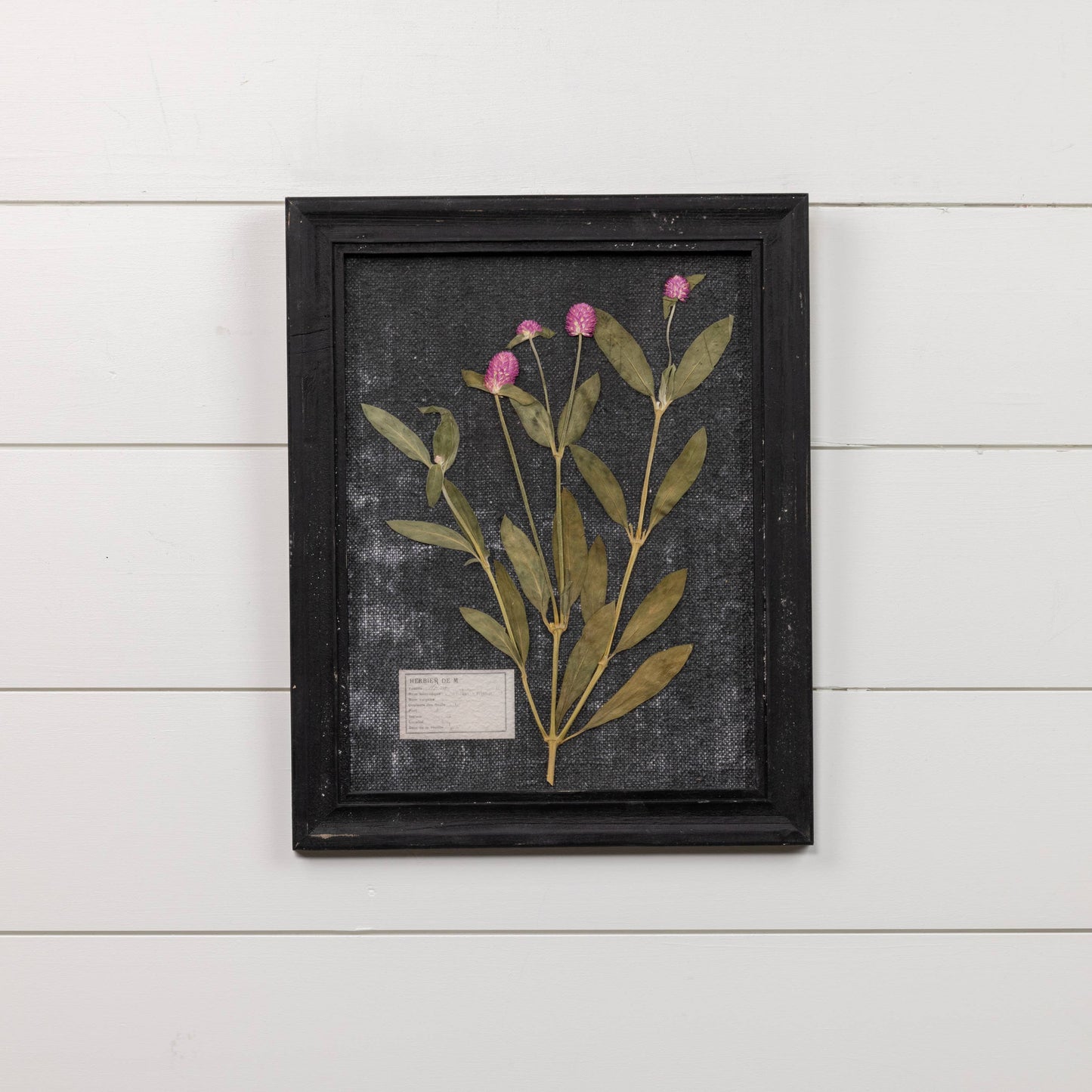 17.75" PRESSED PINK FLOWER W/ BLACK FRAME