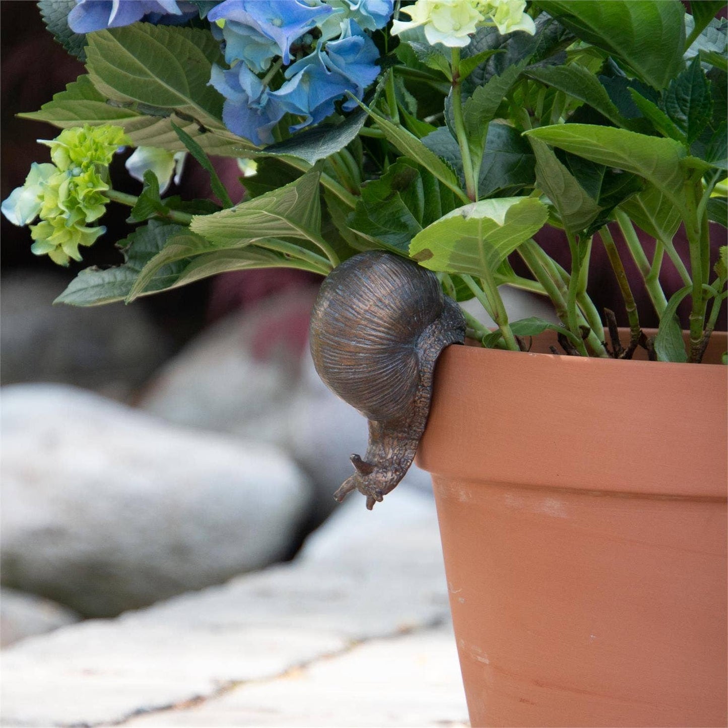 Snail Pot Hugger (Pk/03)
